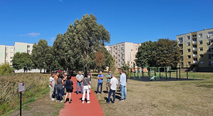 Halpusztulás, döglött madarak, kevés víz, panaszkodó lakók - Sínylődnek a szabadhegyi tavak, segítenének rajtuk