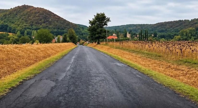 Újra olyan lehet, mint régen – újjászülethet a zalai település ikonikus fasora