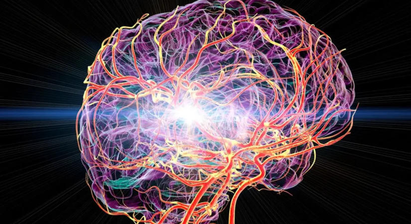 Egy rejtett vérzsír drámaian növelheti a stroke kockázatát, mégsem mérik mindig