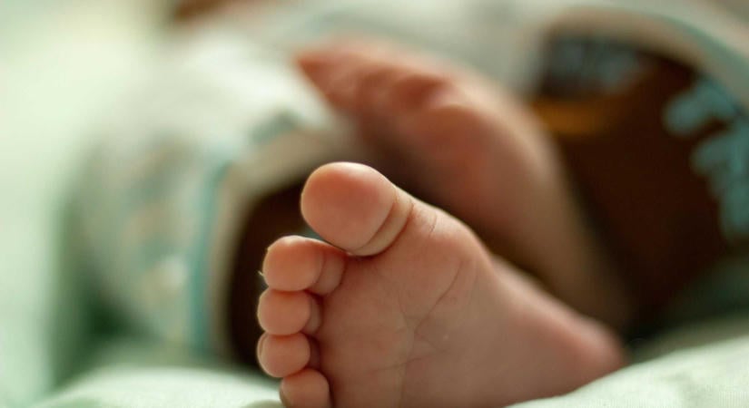 Jó hír a babára váróknak – Indul a jelentkezés 2026-os lombikprogramra