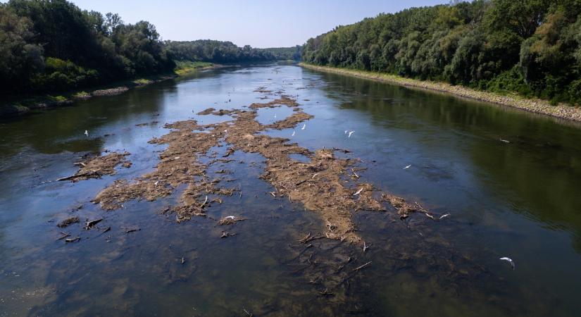 Ideiglenesen betiltották a hamvak Tiszába szórását az alacsony vízállás miatt