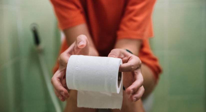 Mindenki rosszul használja a vécét: döbbenetes felfedezést tettek a szakértők, ez a kiegészítő hatalmas különbséget tesz