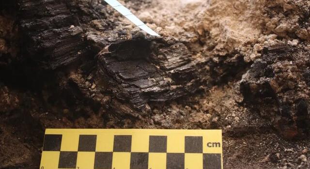 Salamon templomának pusztulásából származó fagerendákat találtak Jeruzsálemben
