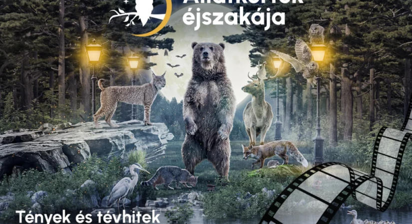 Állatkertek éjszakája alkalmából különleges programok várják a látogatókat a budapesti állatkertben