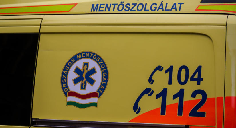 Elgázolt juh miatt állt félre egy lengyel turistabusz, belehajtott egy teherautó, hatan megsérültek