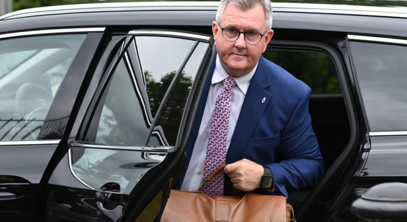 Pedofília miatt tizenöt év börtönre ítélték egy volt Észak-írországi pártvezetőt