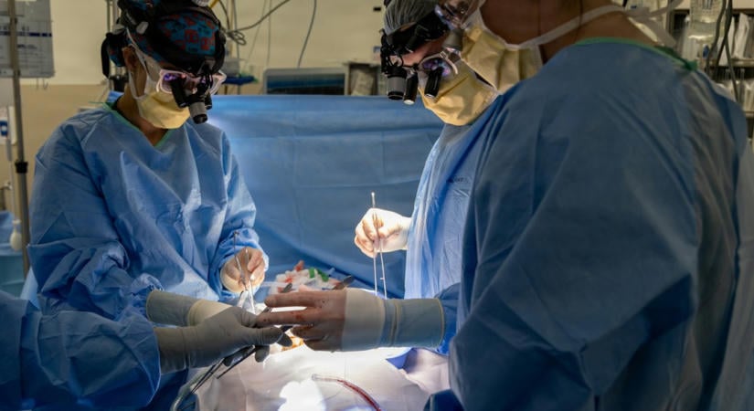 AI-alapú 3D térképpel javítja a prosztata-műtéteket az Avenda Health