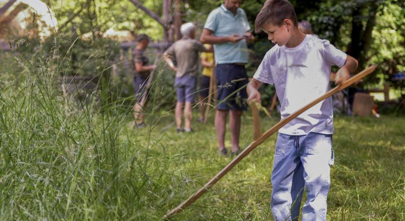 Lehet, hogy mosolyognak rajta, de a jövő a múlté a fűnyírásban