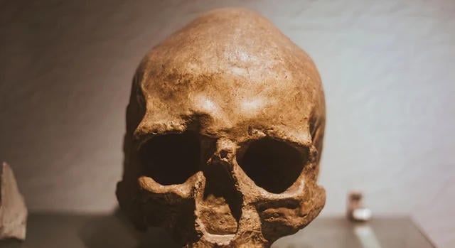 Tényleg a Homo sapiens okozhatta a neandervölgyiek kihalását