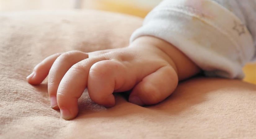 Egyetlen nap alatt húsz kisbaba született Újvidéken