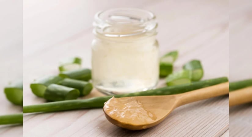 Így használhatjuk az aloe verát a mindennapokban