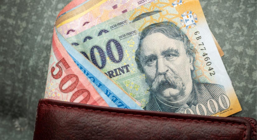Rendkívüli bejelentést tett Bóna Szabolcs az agrártámogatásokkal kapcsolatban