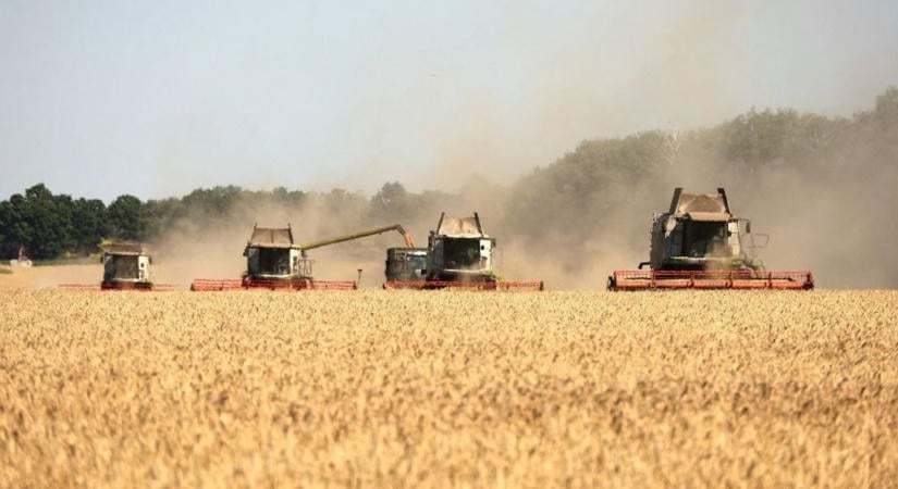 Putyin lecsapott, drámai fordulatról számolt be Brüsszel: az ukrán gabona 90 százaléka már az uniós folyosókon haladt
