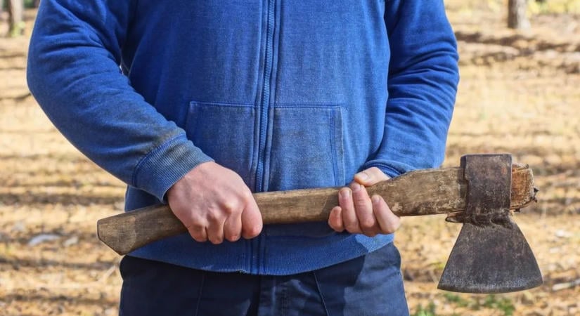Meglőttek a rendőrök egy férfit, aki baltával támadt családtagjaira Abonyban