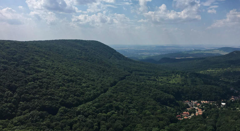 Egyetlen dokumentum döntheti romba a szerepjátékos gyilkosság ügyét, 15 év után jöhet a nagy fordulat