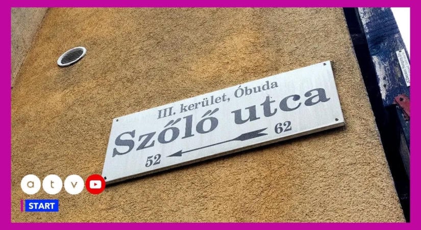 Fejlemény a Szőlő utcai letartóztatások ügyében: Juhász Péter Pál és élettársa is rácsok mögött marad