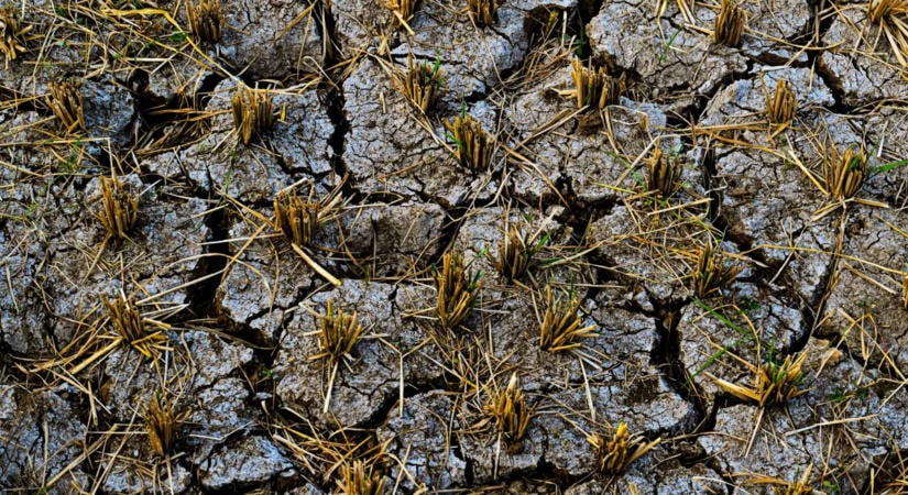 Közel 500 ezer ember halálát okozhatja a szuper El Nino – ez a tíz ország van a legnagyobb veszélyben