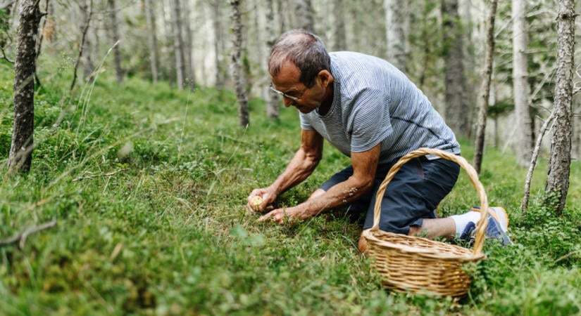 Durva bírság jár ezért: sokan nem tudják, 65 ezret is fizethetnek