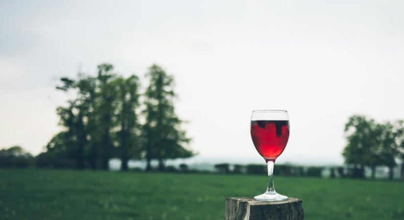 Már egy pohár bor is kiüthet: ebben az életkorban megváltozik az alkohol hatása