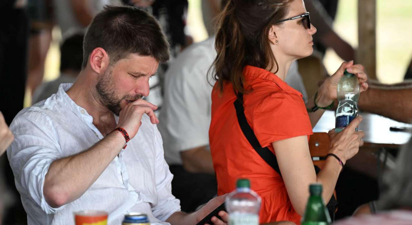 IPSOS-felmérés: A PS 18 százalékra esett vissza, a Demokrati és a Magyar Szövetség nem jutna be