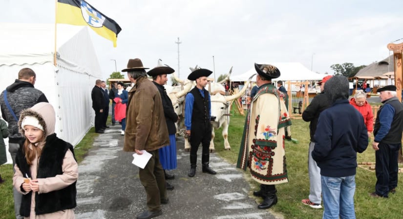 Magyar Szürke-Barátok Találkozója 2026 Hortobágy