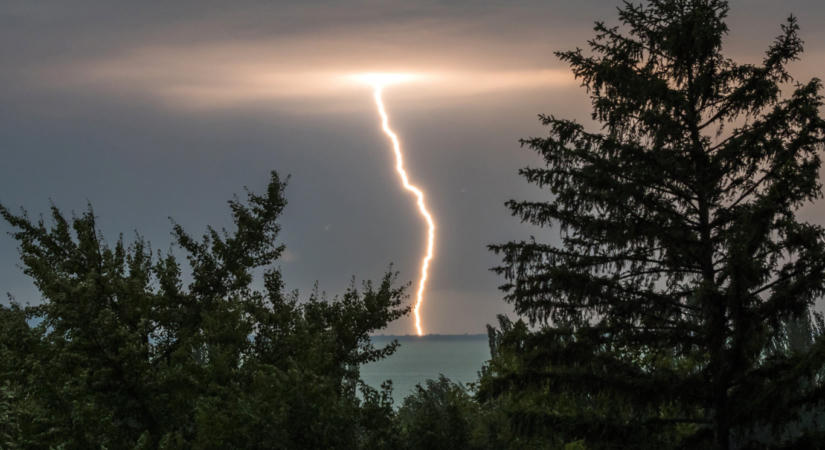Fákat döntött ki a szerda esti vihar