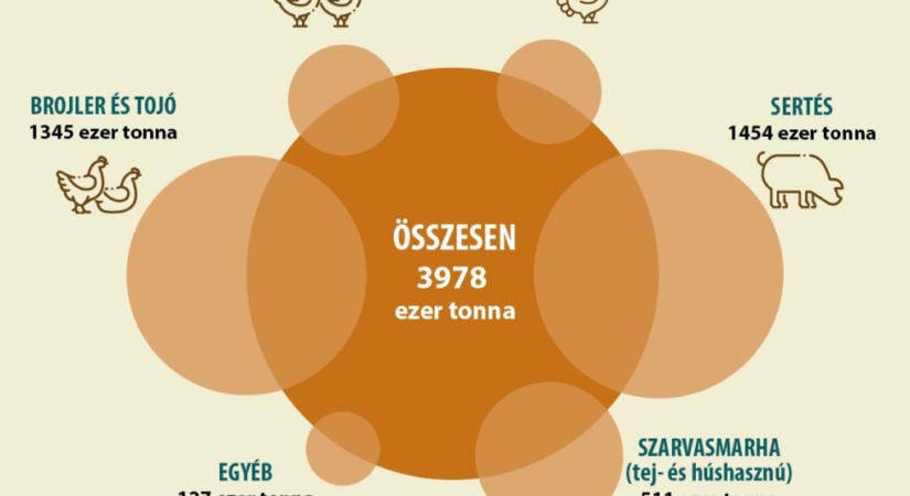 Bővült a takarmánykeverék-termelés Magyarországon 2025-ben