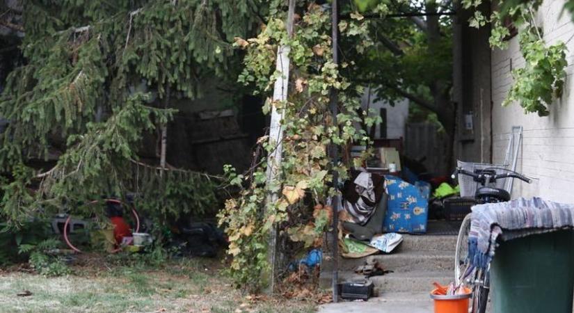 Apostagi gyermekkéselés: életveszélyes állapotban van a 6 éves Fanni