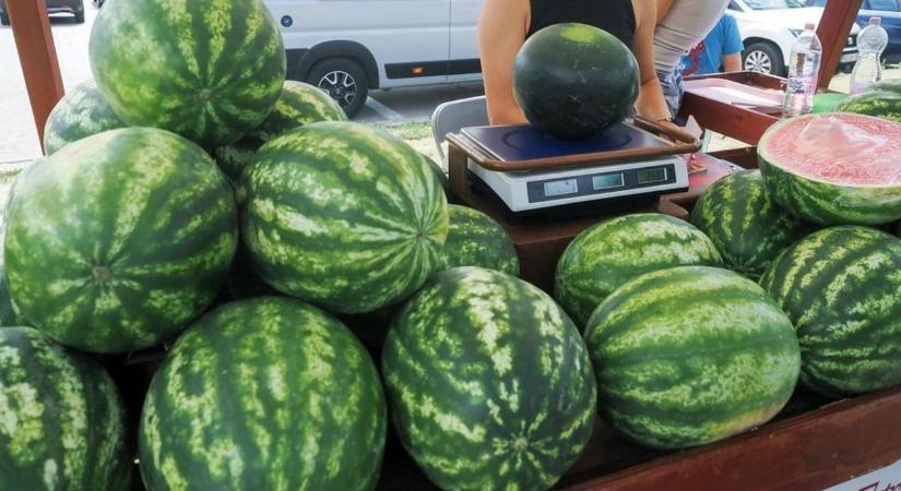 Idén is ellenőrzik a dinnyeárusokat – ilyen szabályszegésekért jár büntetés