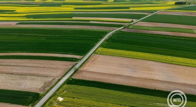 Nőtt a termelőknek folyósított támogatások összege az első fél évben