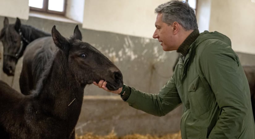 Most akár ön is vezetheti Lázár János volt ménesbirtokát, mutatjuk, mik az elvárások