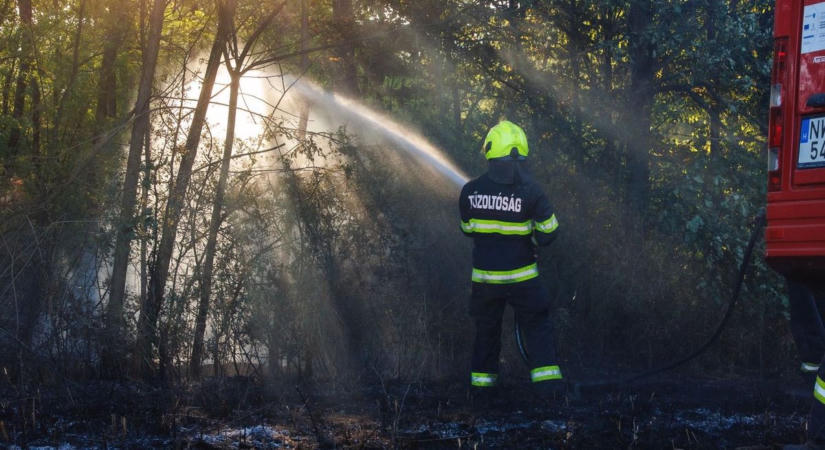 Az erdőre is átterjedtek a lángok Alsóújlaknál