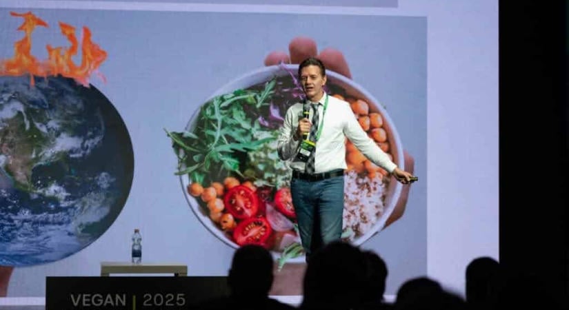 6 ok, amiért érdemes ellátogatnod novemberben a Vegan Summitra
