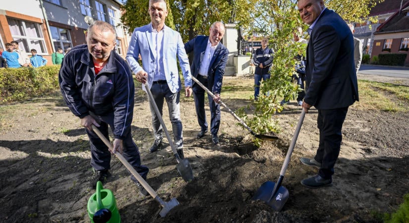 Kilencven éve gyökerezik Hajdúsámsonban a dicsőség