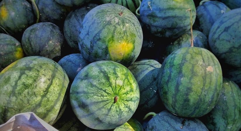 Elhalasztják tiltakozó megmozdulásukat a dinnyetermelők
