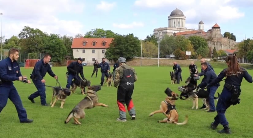 Rendőrkutyák gyakorlatoztak az esztergomi rögbipályán