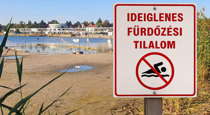 “Ha férfi vagy, verekedjünk meg”- Balhé a Velencei-tónál egymásnak feszült a polgármester és a cégvezető