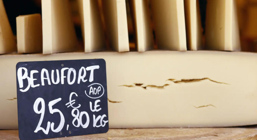A kiszáradt legelők a francia sajtok ízét is elvehetik - Figyelmeztetnek a szakértők