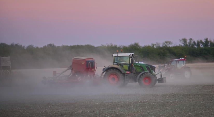 Stratégia aszályban: a termékpalettán és a talajon múlhat minden