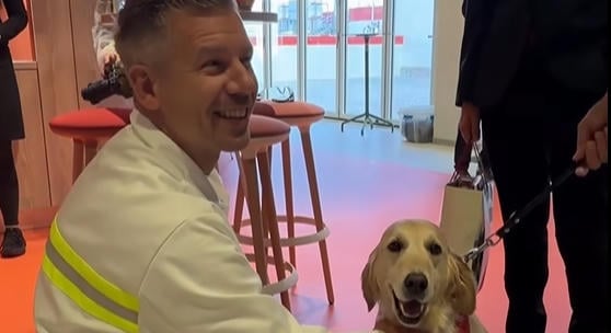 Kutyaszemekkel nézett a nyugdíjas Kleo az állateledelgyárba látogató Magyar Péterre - videó