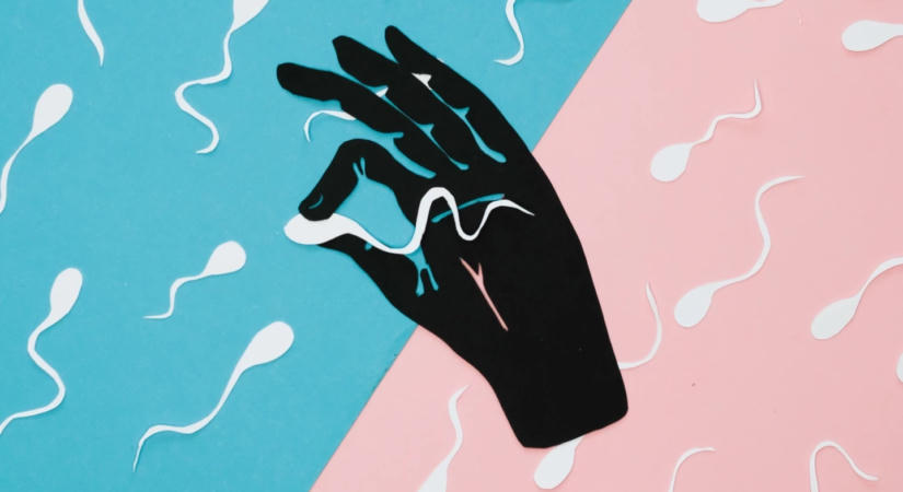 Sperma-Tinder: applikáción keresztül is kereshetsz donort a gyermekvállaláshoz