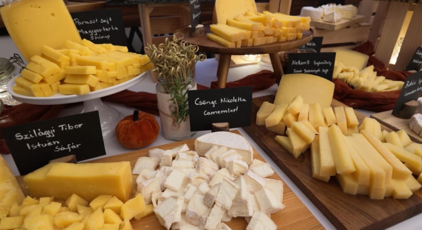 Budapest hamarosan a sajtoké lesz – bemutatkozott a Cheese Budapest