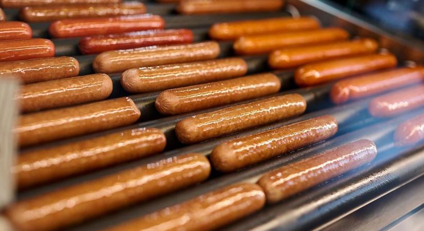 Hernádi Zsolt lett Magyarország első számú hot dog árusa: csak tavaly 47 milliót adott el a Mol összesen