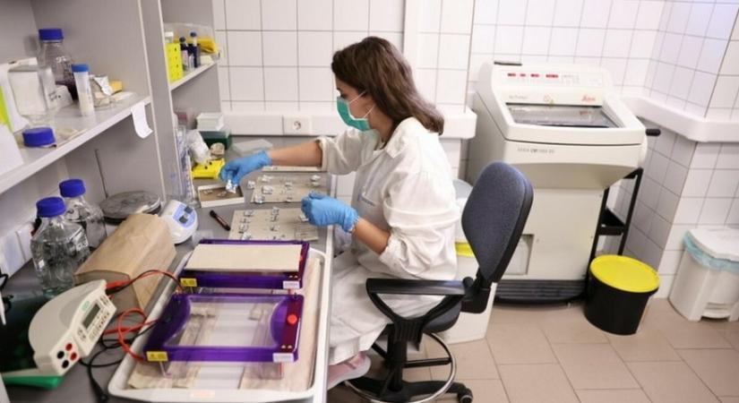 Felvételi 2026: Rekordszámú, több mint 7300 hallgatót vett fel az SZTE