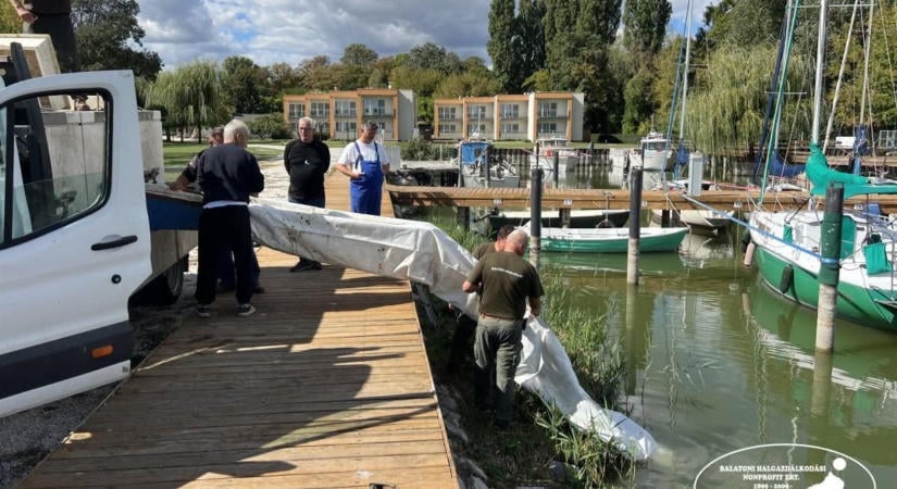 Őshonos compókat és balinokat telepítettek a Balatonba