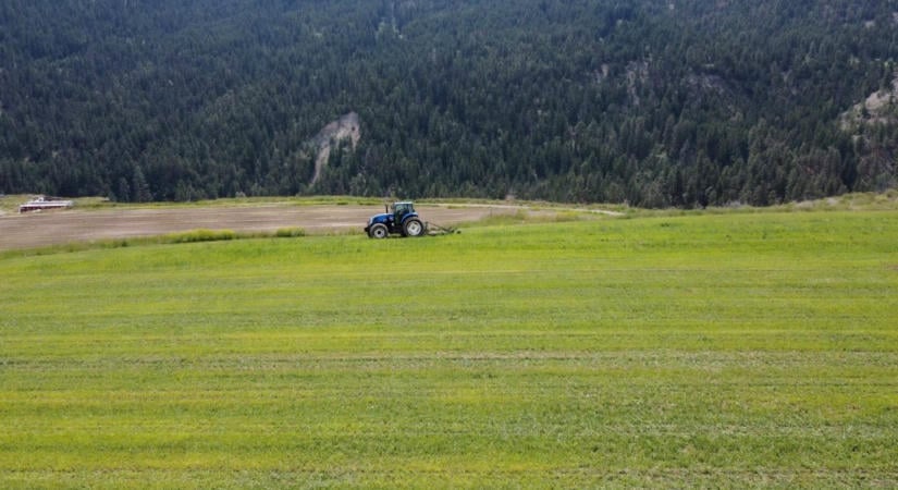 A CNH Industrial AI-alapú robotokkal segíti a gazdákat