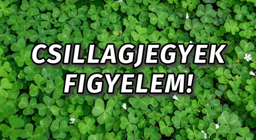 5 kínai csillagjegy vonzza a jó szerencsét egész héten, szeptember 1-től, keddtől kezdve