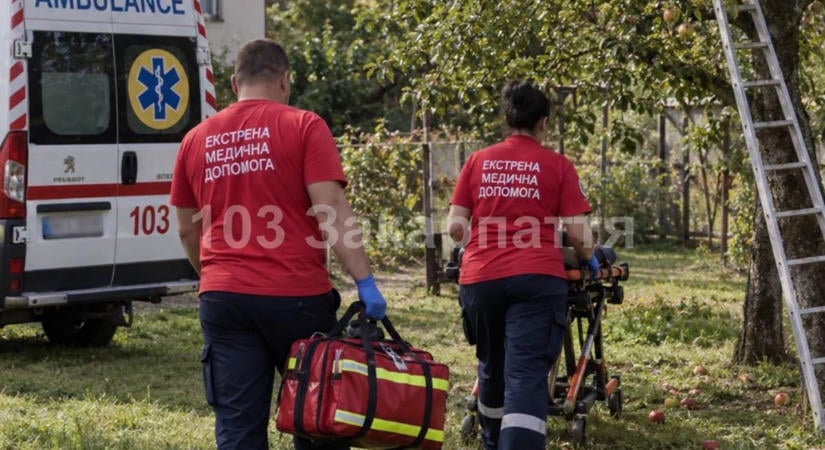 Három métert zuhant egy almafáról egy 38 éves férfi Szolyva környékén