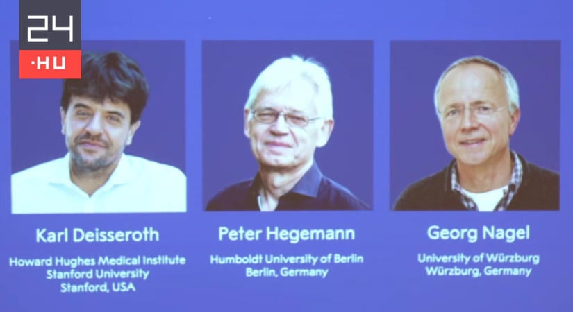 Kiderült, kik kapják idén az orvosi Nobel-díjat