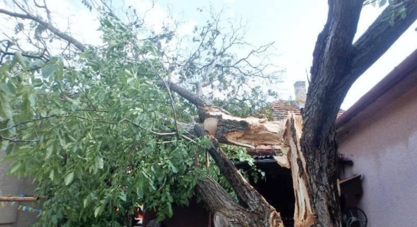 Anyagi segítséget nyújt a minisztérium a viharkárok miatt, de kérvényezni kell